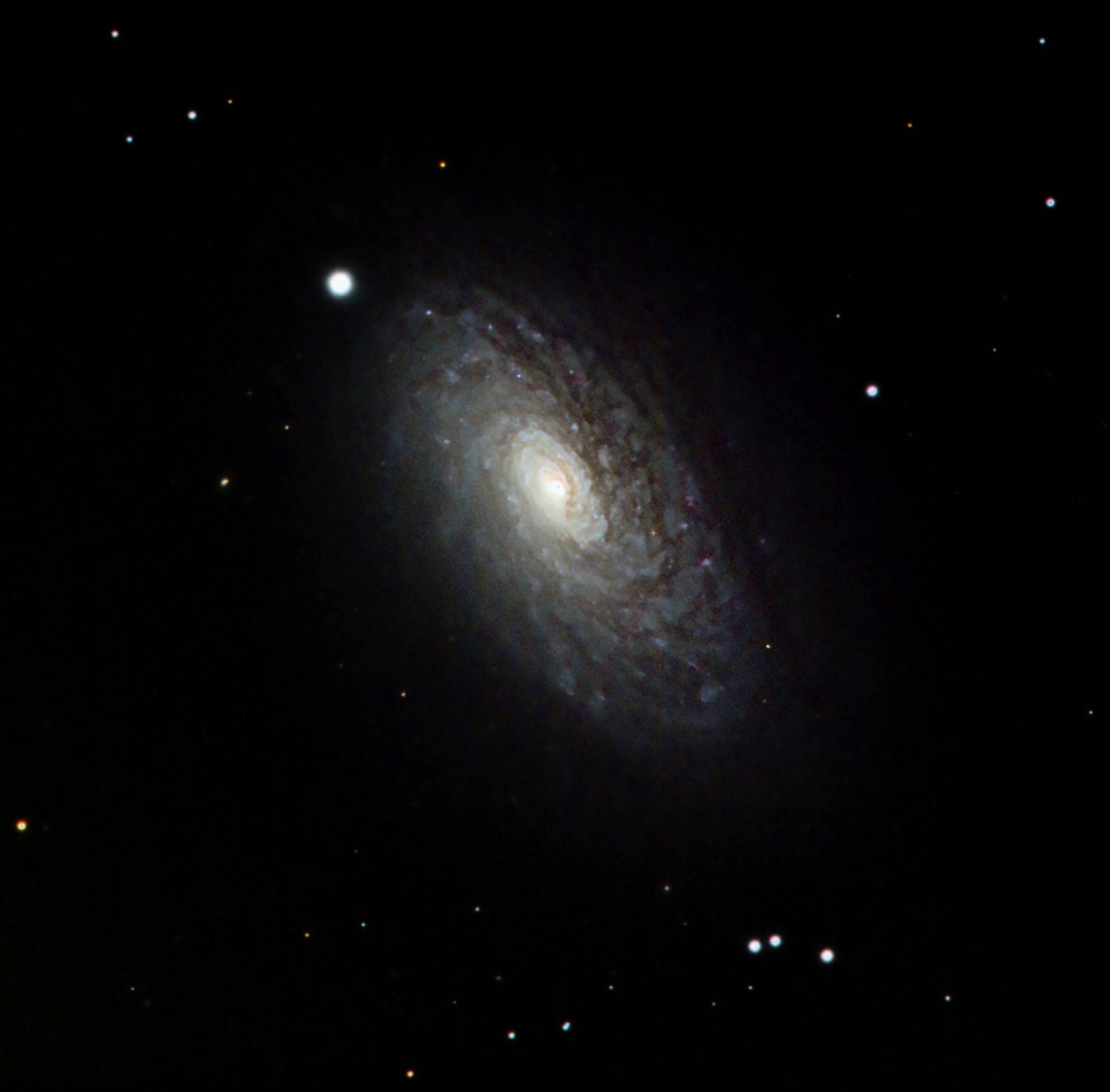 M63